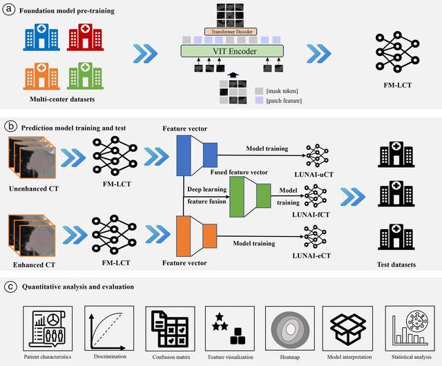 Visual abstract: Non-invasive multimodal CT deep learning biomarker to predict pathological complete response of non-small cell lung cancer following neoadjuvant immunochemotherapy: a multicenter study