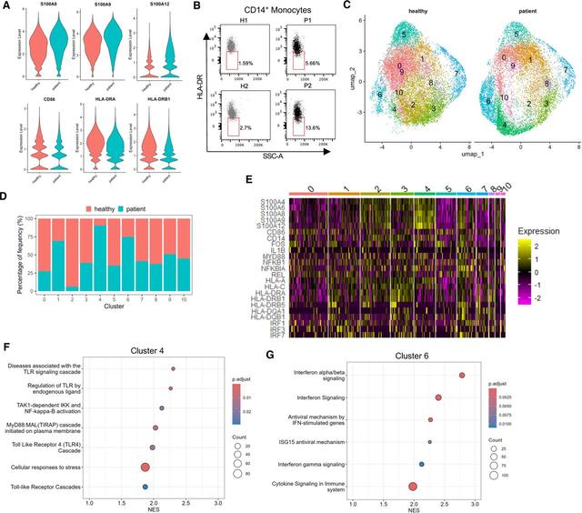 Visual Abstract S100A9 and HMGB1 orchestrate MDSC-mediated immunosuppression in melanoma through TLR4 signaling