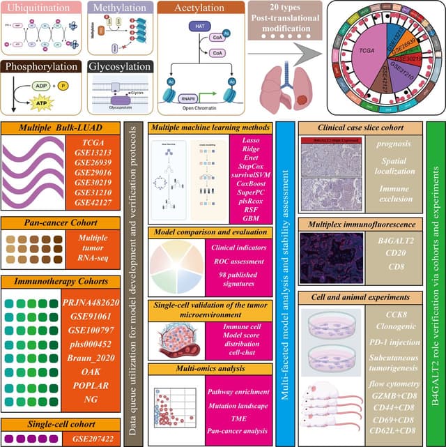 Visual abstract